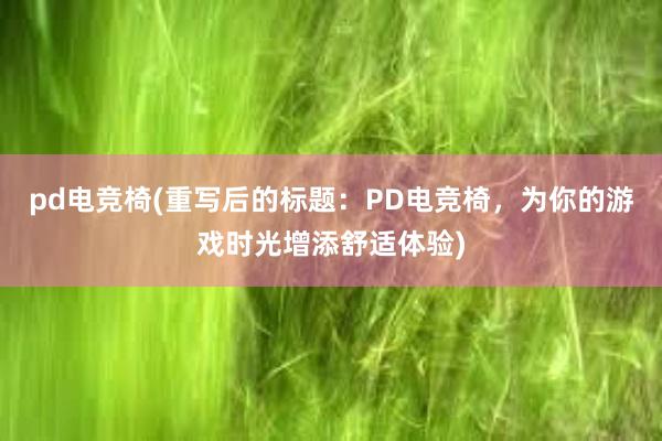 pd电竞椅(重写后的标题：PD电竞椅，为你的游戏时光增添舒适体验)