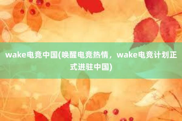 wake电竞中国(唤醒电竞热情，wake电竞计划正式进驻中国)