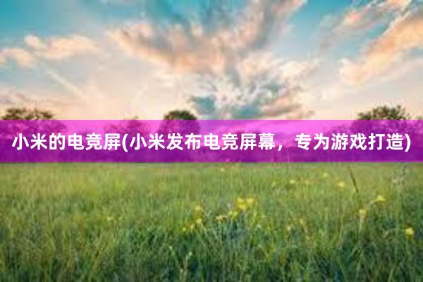 小米的电竞屏(小米发布电竞屏幕，专为游戏打造)