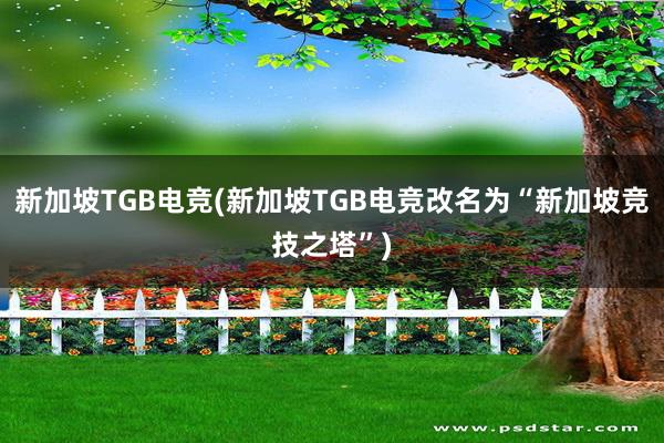 新加坡TGB电竞(新加坡TGB电竞改名为“新加坡竞技之塔”)