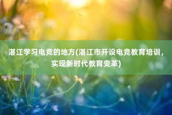 湛江学习电竞的地方(湛江市开设电竞教育培训，实现新时代教育变革)