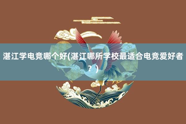 湛江学电竞哪个好(湛江哪所学校最适合电竞爱好者？)