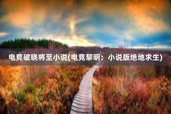 电竞破晓将至小说(电竞黎明：小说版绝地求生)