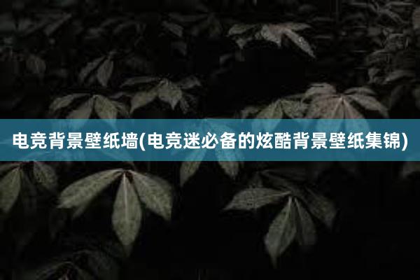 电竞背景壁纸墙(电竞迷必备的炫酷背景壁纸集锦)