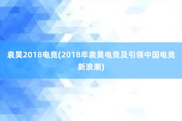 袁昊2018电竞(2018年袁昊电竞及引领中国电竞新浪潮)