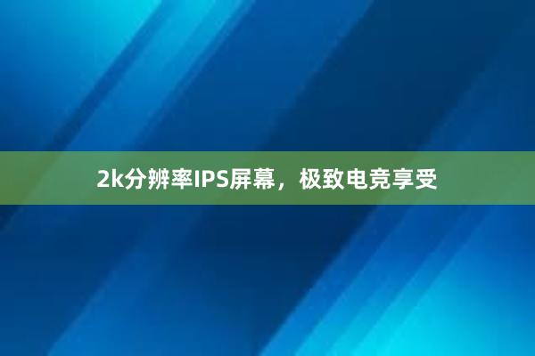 2k分辨率IPS屏幕，极致电竞享受