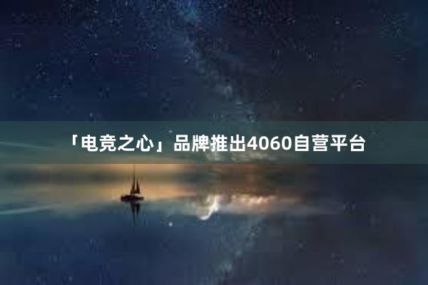 「电竞之心」品牌推出4060自营平台