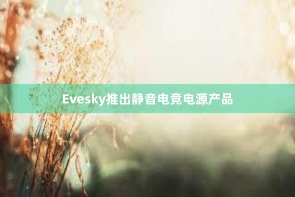 Evesky推出静音电竞电源产品