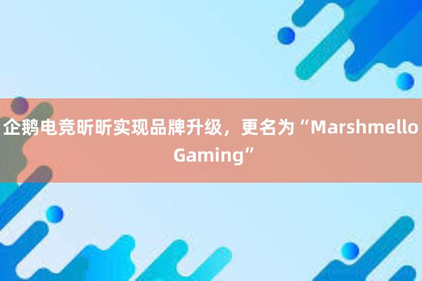 企鹅电竞昕昕实现品牌升级，更名为“Marshmello Gaming”