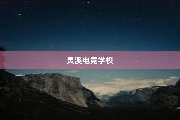 灵溪电竞学校