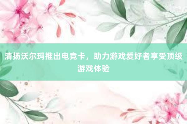 清扬沃尔玛推出电竞卡，助力游戏爱好者享受顶级游戏体验