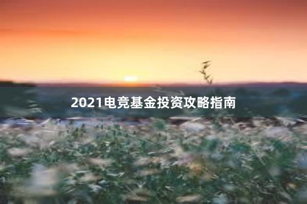 2021电竞基金投资攻略指南