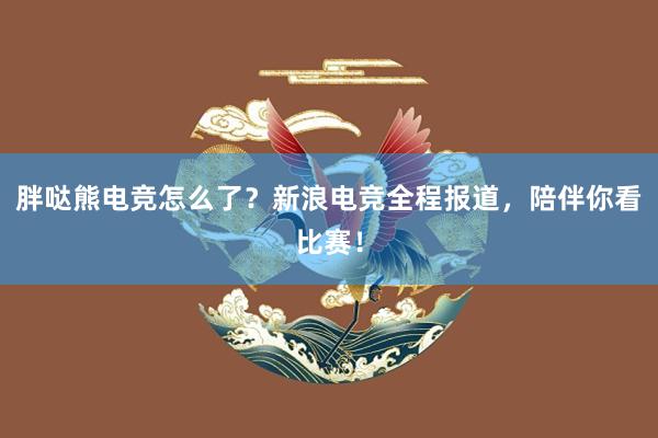 胖哒熊电竞怎么了？新浪电竞全程报道，陪伴你看比赛！