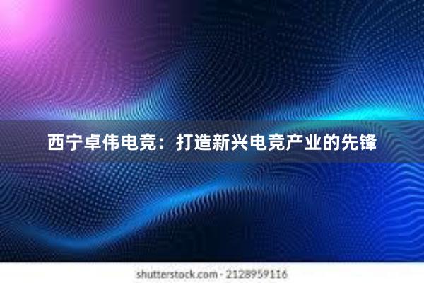 西宁卓伟电竞：打造新兴电竞产业的先锋