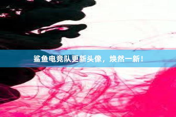 鲨鱼电竞队更新头像，焕然一新！